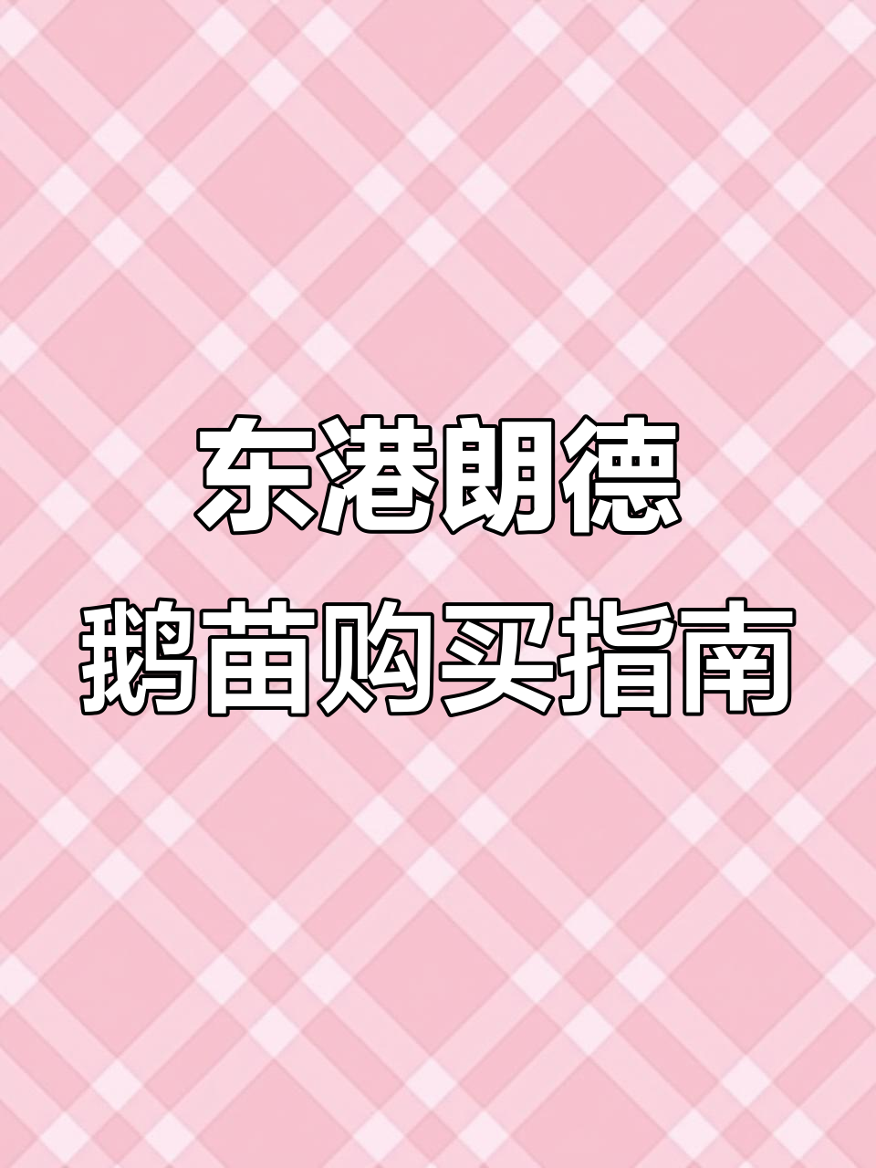 辽宁东港朗德鹅苗价格与订购方式,养殖合作全程指导