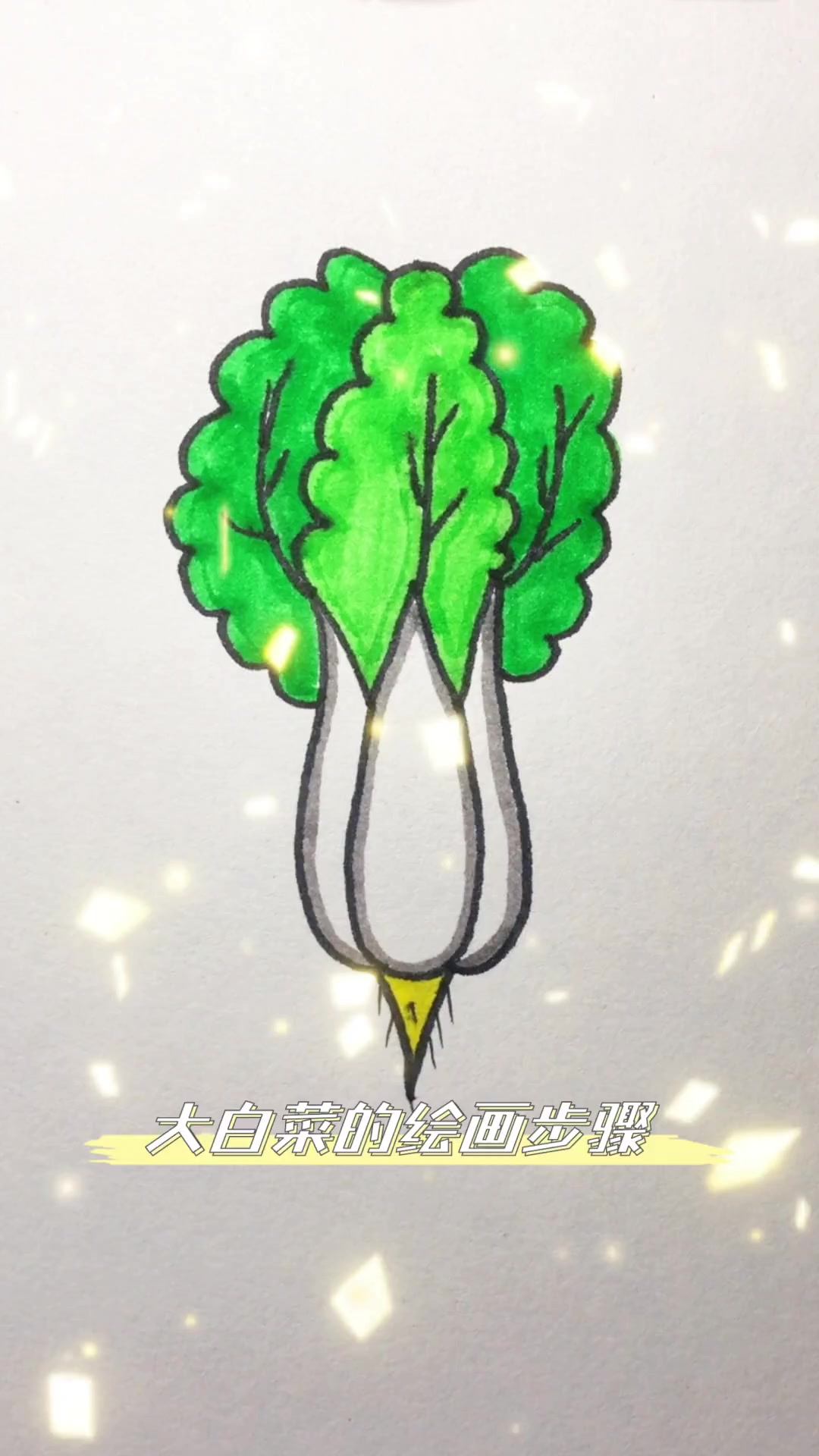 大白菜的绘画步骤