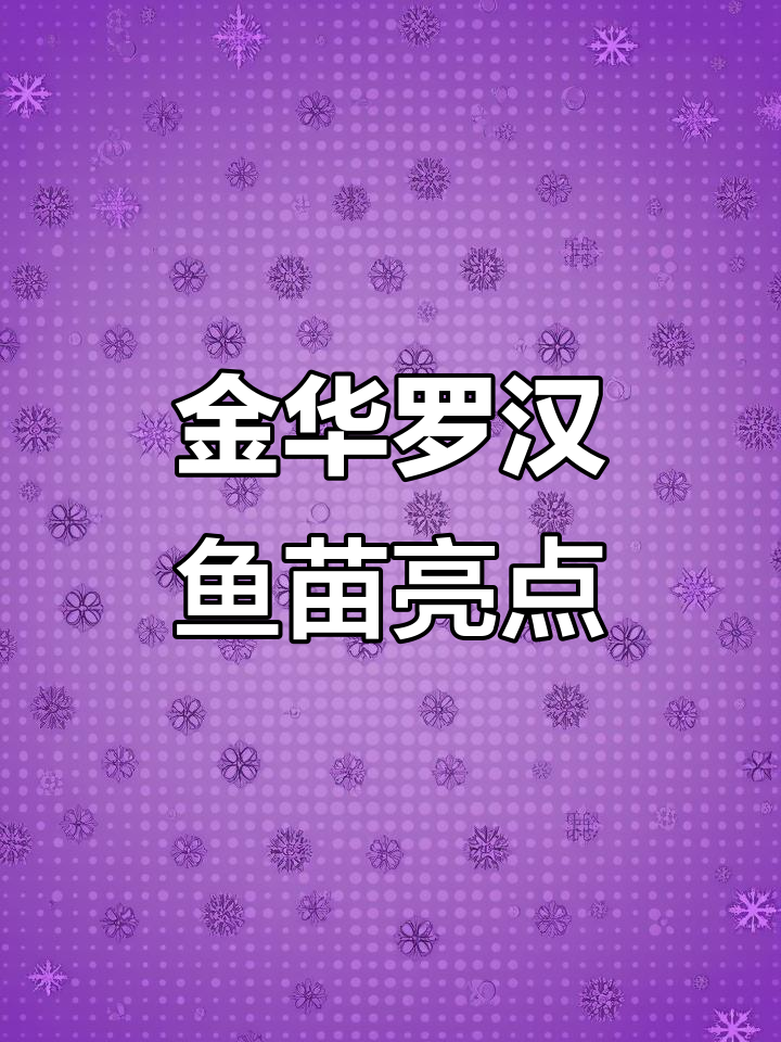 国产金花罗汉鱼苗，亮片满满，未来可期