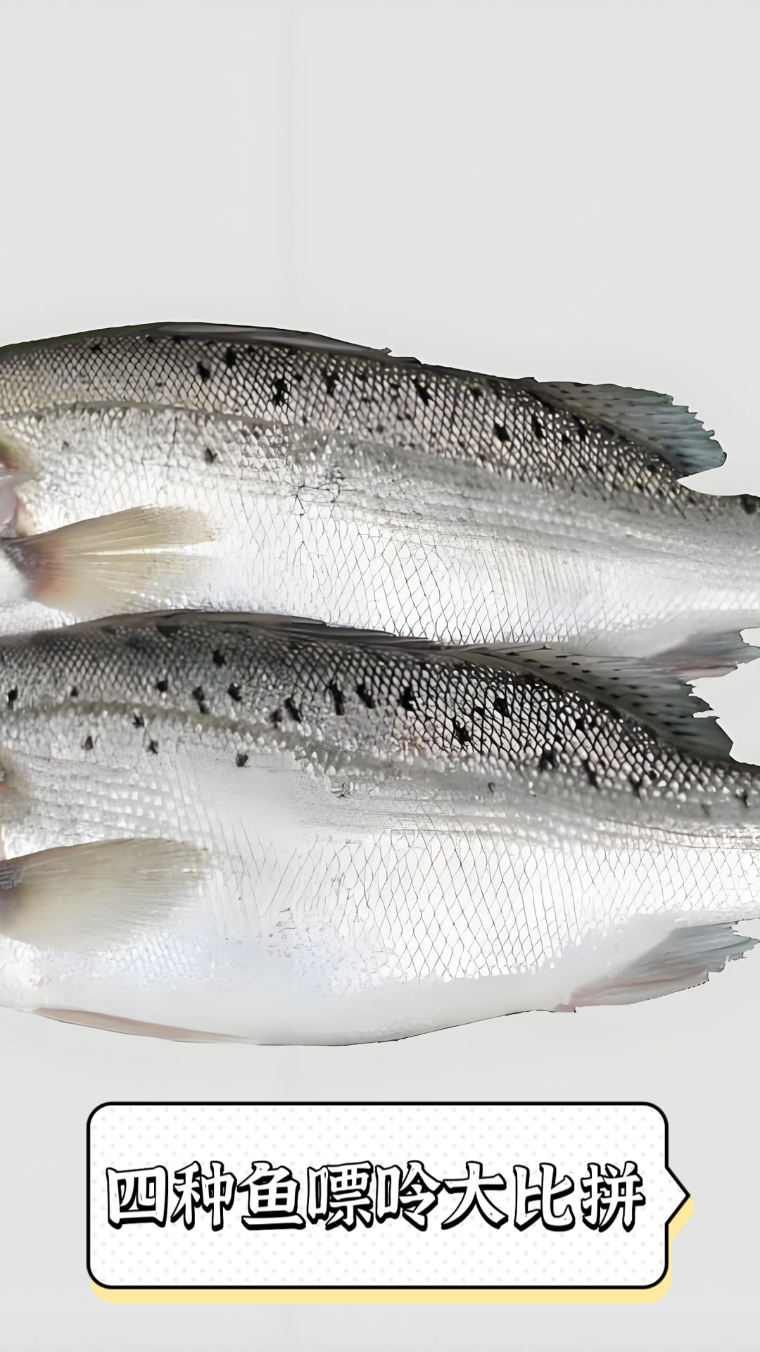 四种鱼嘌呤大比拼