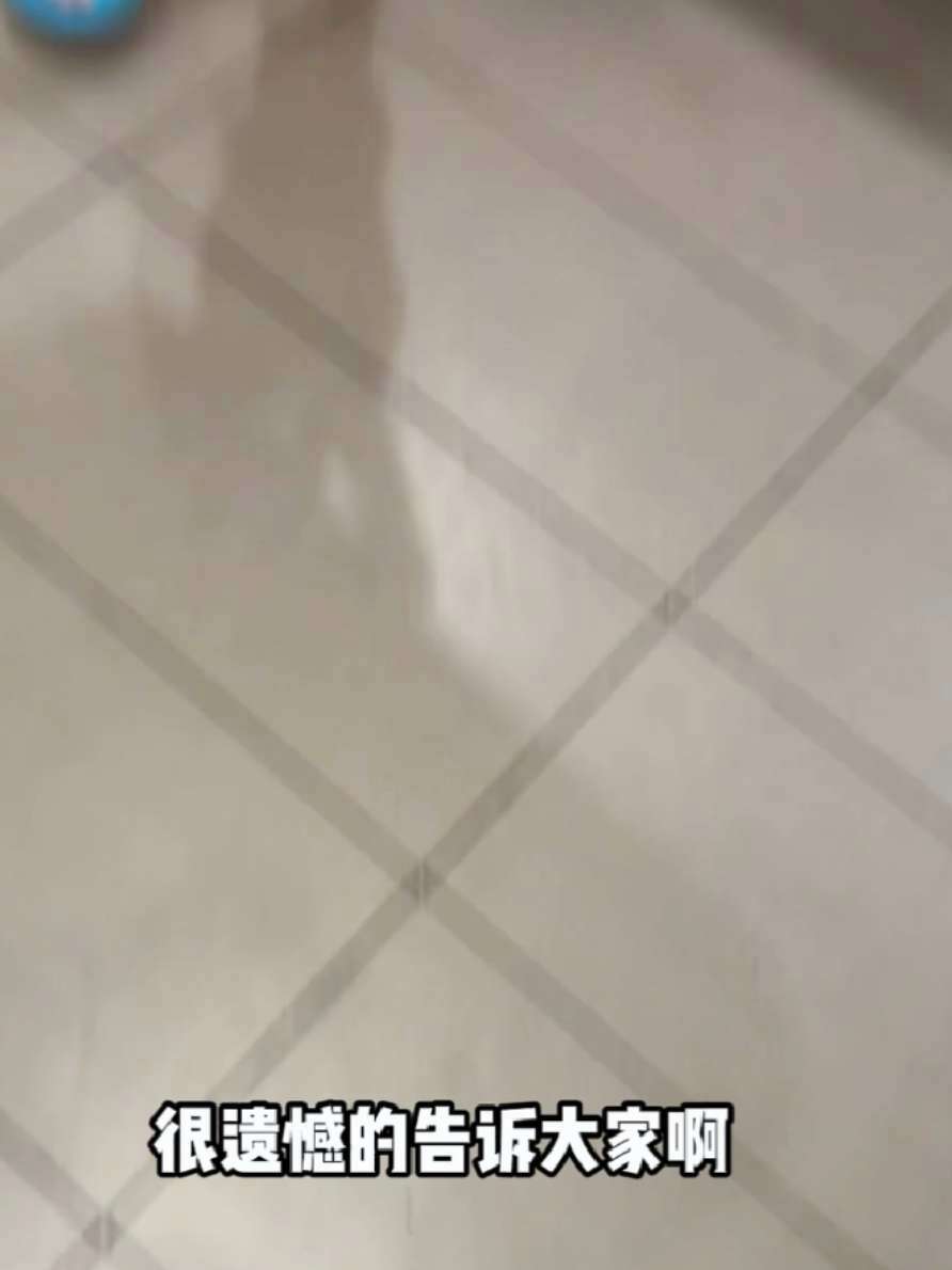 肯德基25块9新品避风塘塔可来了 刷到就抢起来吧 全国门店通用 肯德基 肯德基新品 肯德基