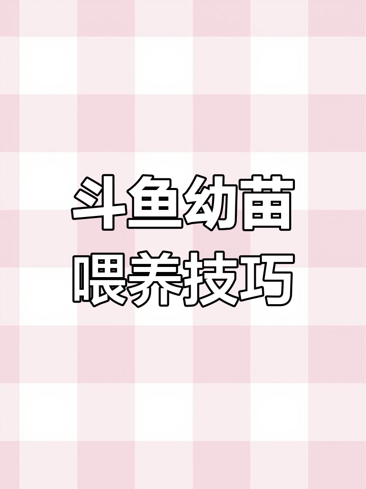 斗鱼幼苗喂养指南:如何正确喂食与移入大池