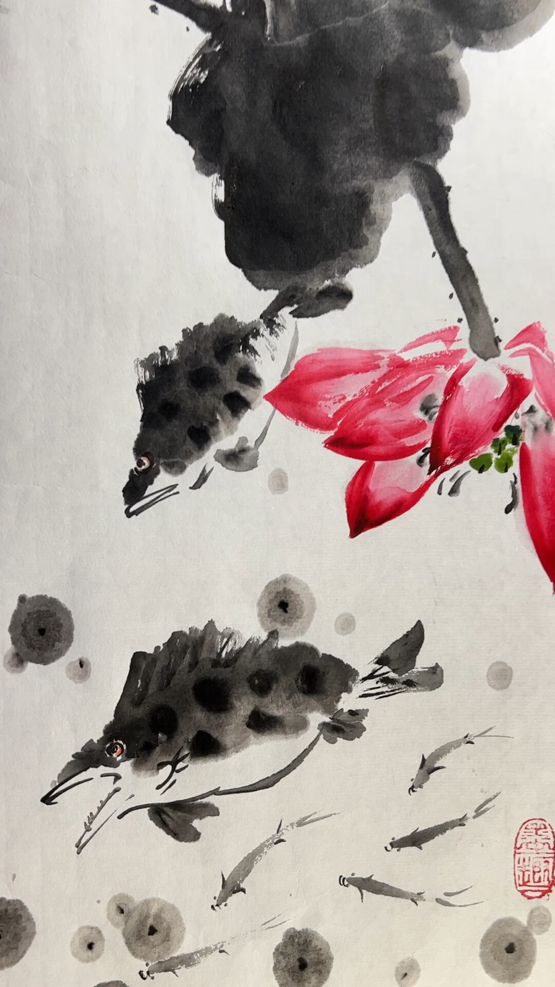 和为贵~荷花与鳜鱼~
