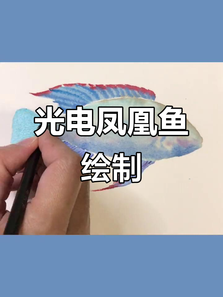 画出光电凤凰鱼，萌知计划带你玩转创意世界