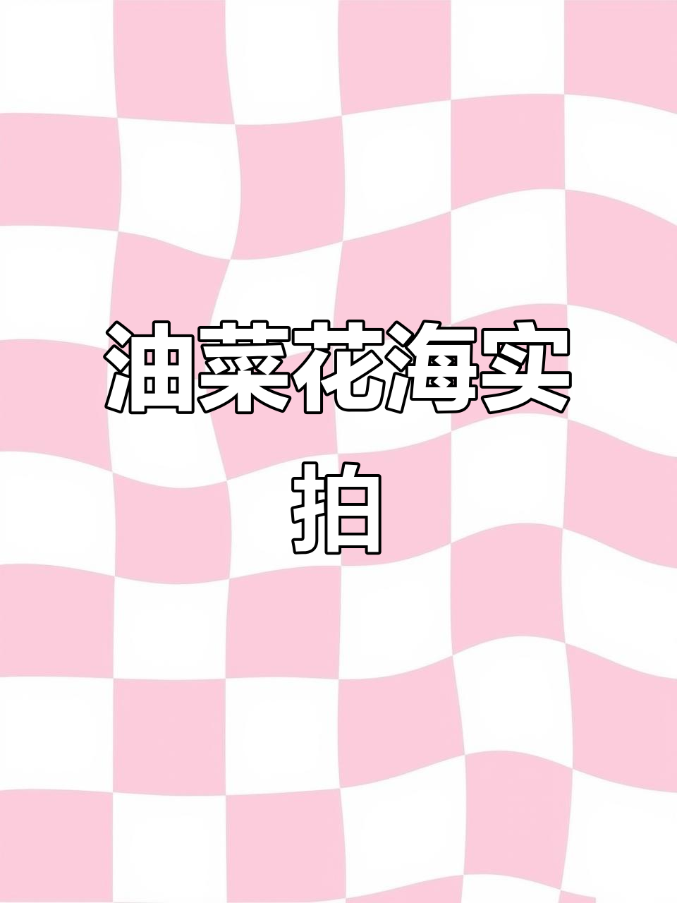 4月武清油菜花海盛开,真实无滤镜,美得令人陶醉