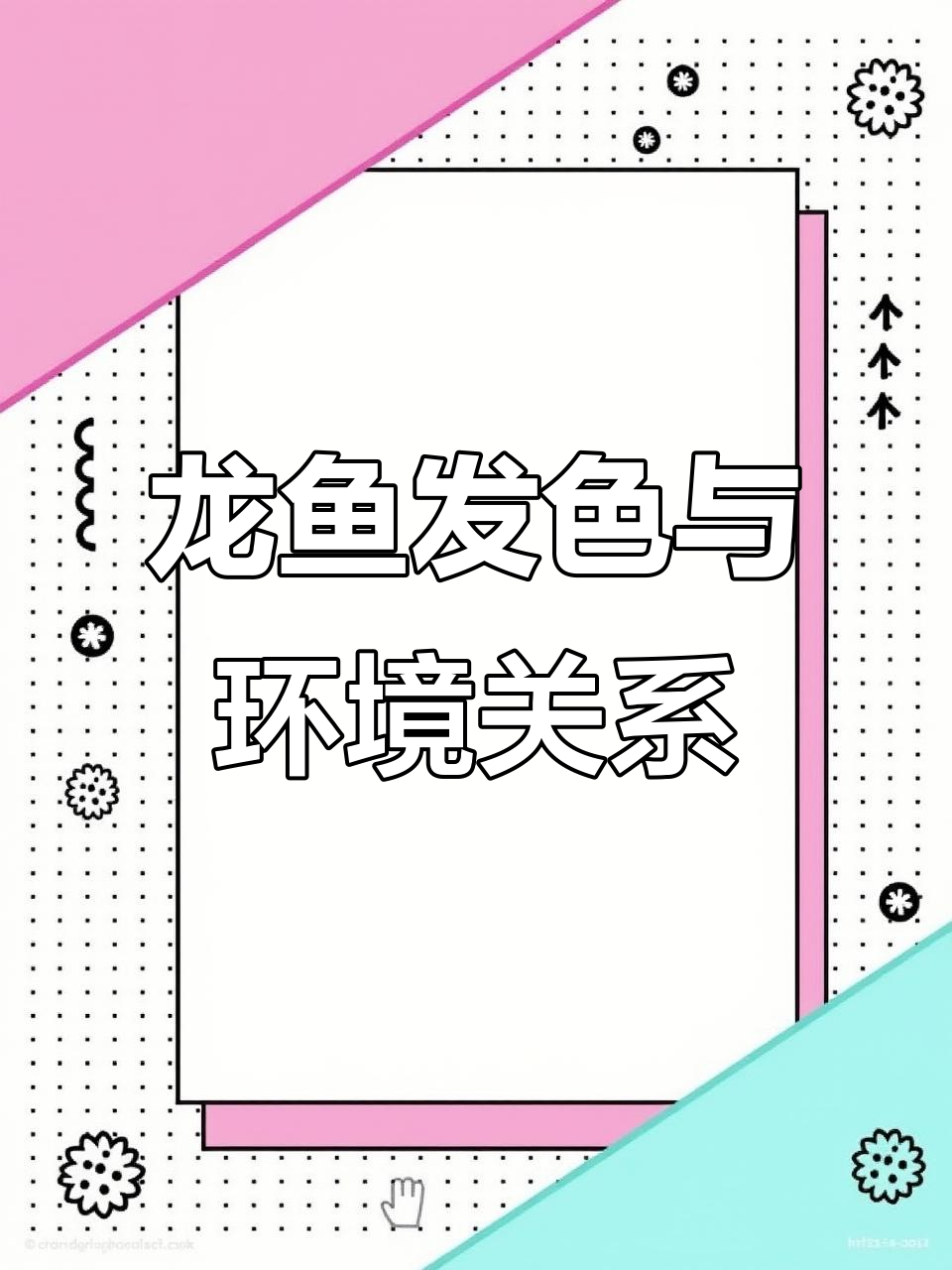 环境如何影响龙鱼发色？暗环境与光照技巧揭秘