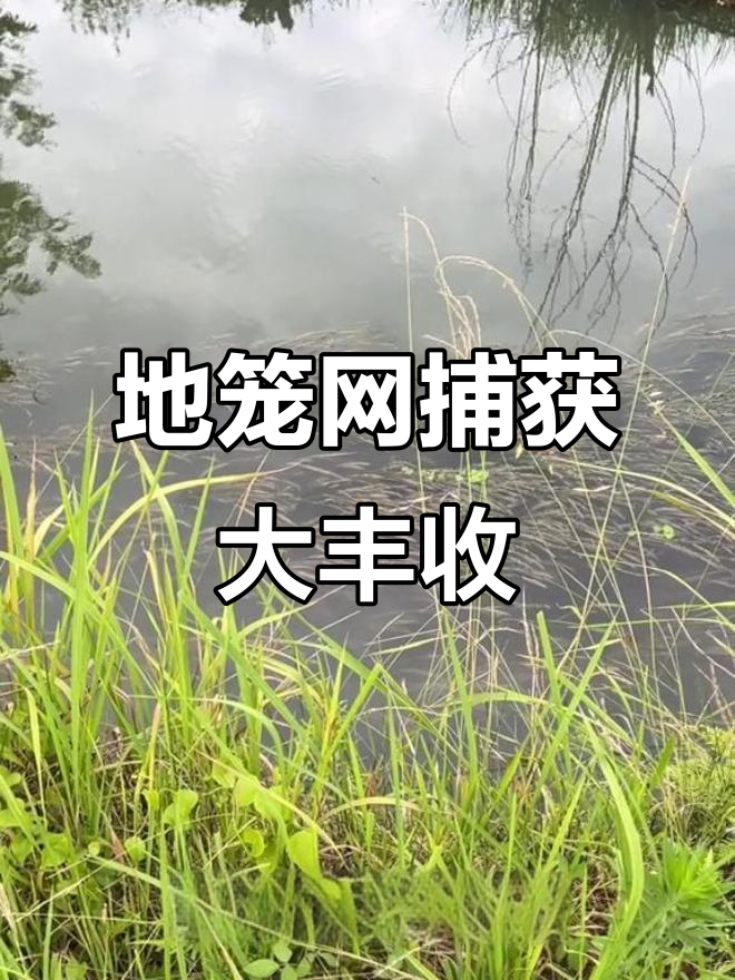 农村身无分文，如何用零元购地笼网捕鱼？