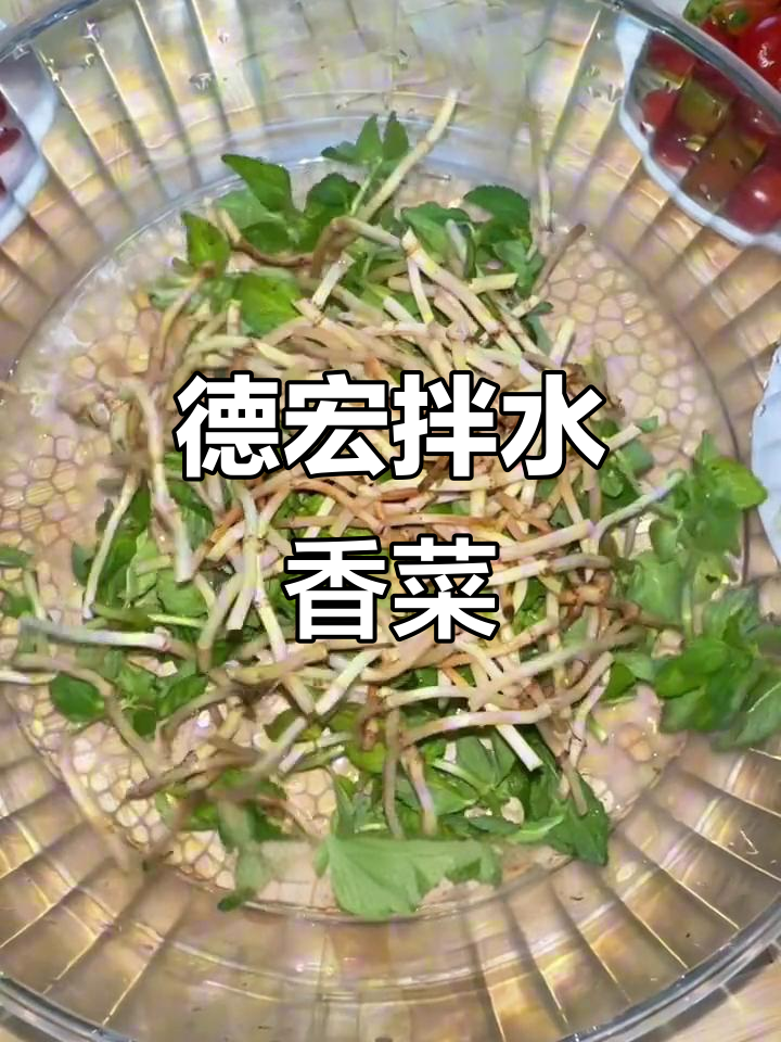 云南德宏拌水香菜,酸辣爽脆开胃小吃