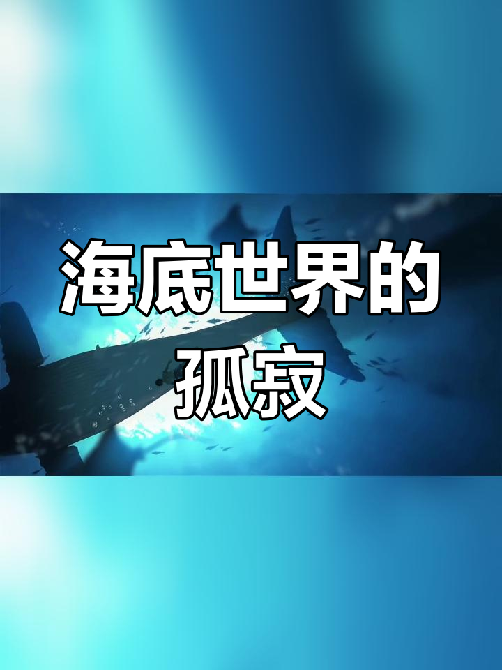 孤独的鲸鱼与海底世界