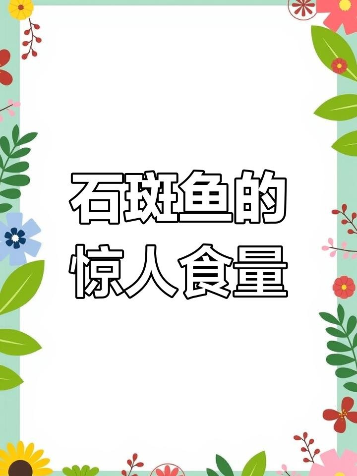 海里的“吸尘器”石斑鱼,贪吃到让人惊讶