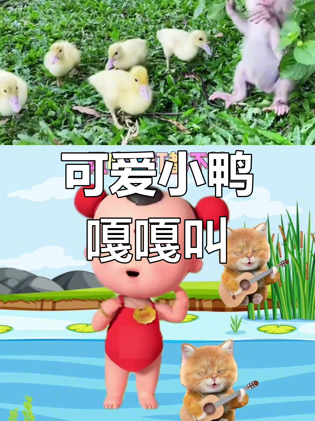 小鸭子扁嘴萌态,宝宝早教欢乐多