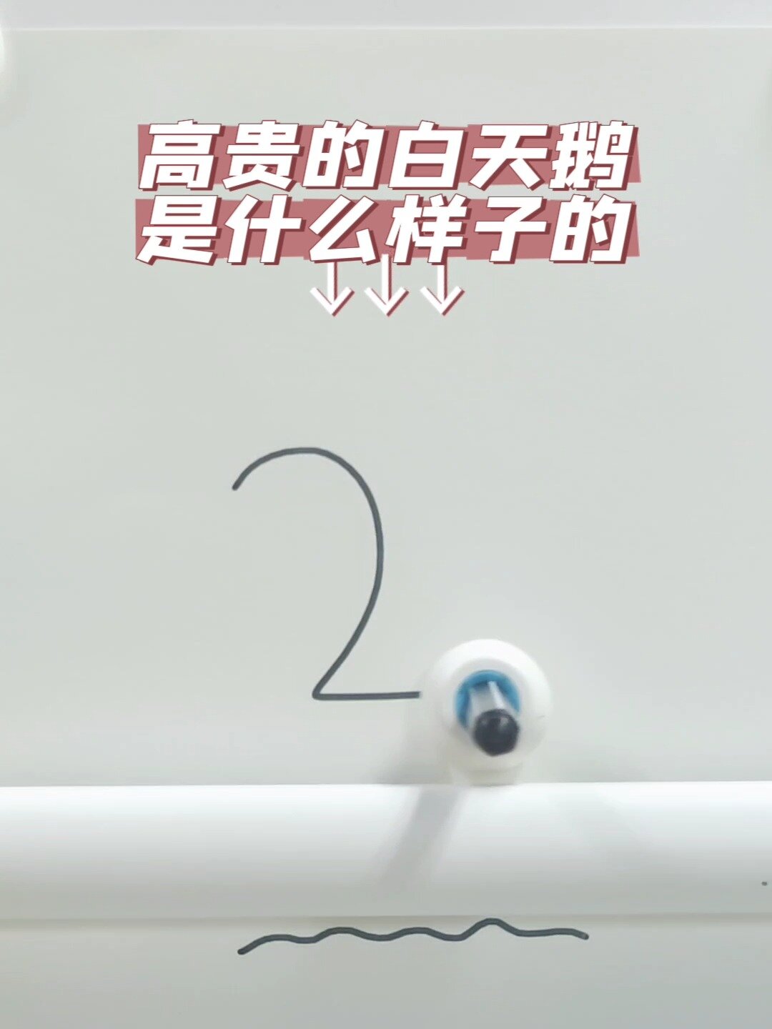 宝贝们见过湖面上的天鹅吗没有见过也没关系一起来画画看吧