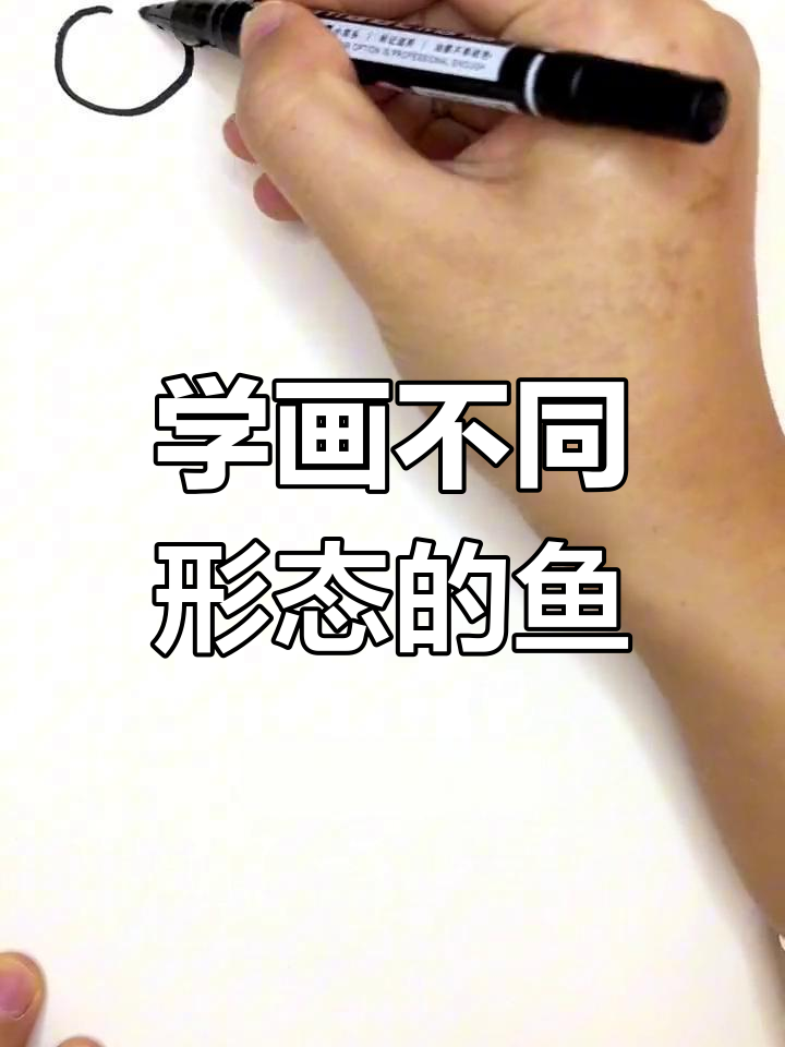 画出各种形状的鱼,创意无限
