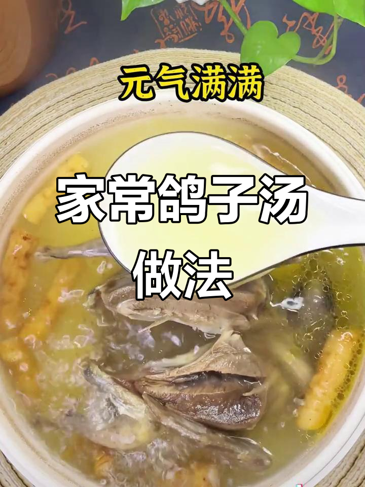 鸽子汤炖法大揭秘，黄芪党参搭配更美味