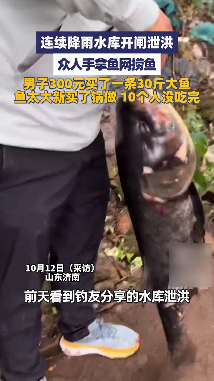 连续降雨水库开闸泄洪,众人手拿鱼网捞鱼,男子300元买了1条30斤大鱼
