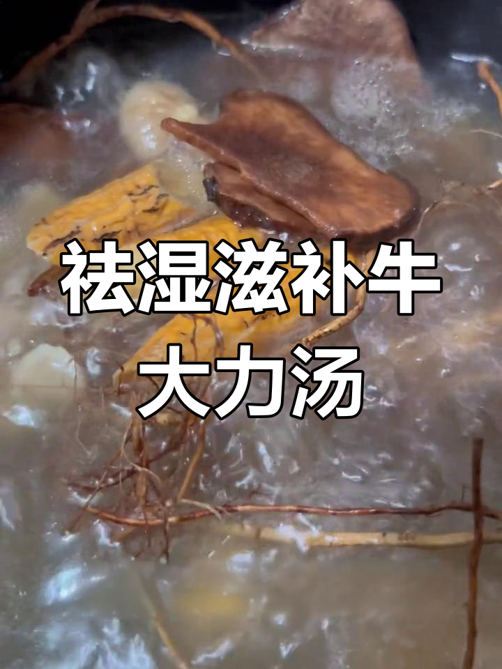 湿气重?试试这款广东牛大力土茯苓汤