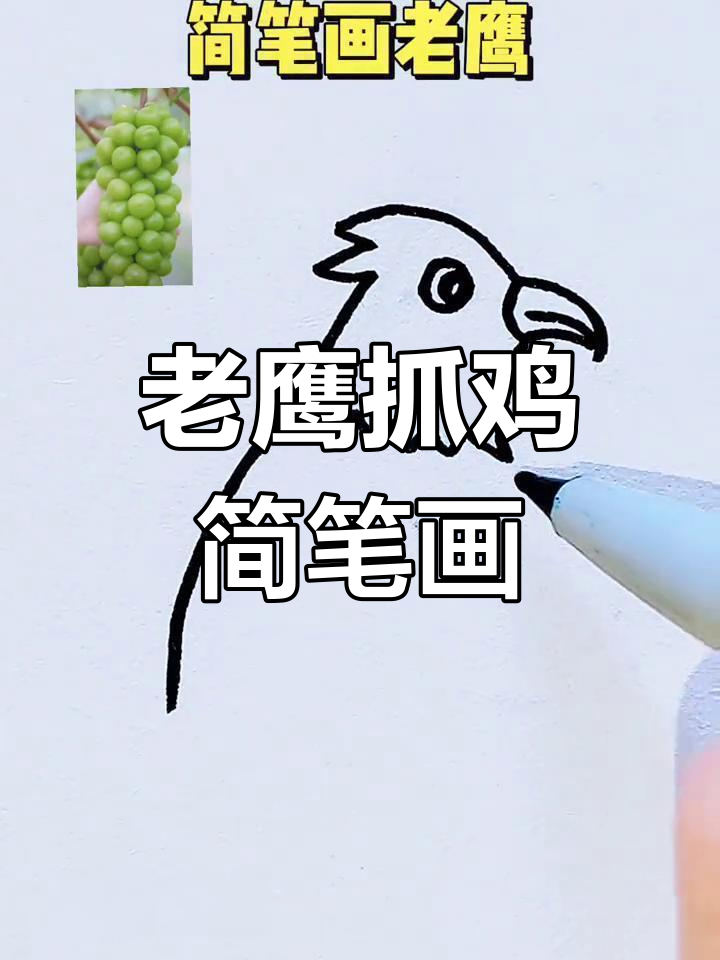 亲子互动简笔画:老鹰与小鸡的追逐游戏