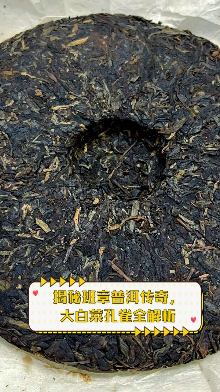 揭秘班章普洱传奇,大白菜孔雀全解析