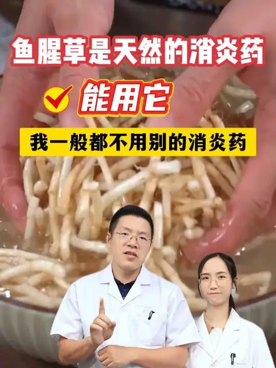 鱼腥草是天然的消炎药,4个搭配要记好