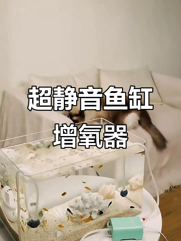 鱼缸增氧泵,超静音打氧气机,家用小型高效养鱼必备
