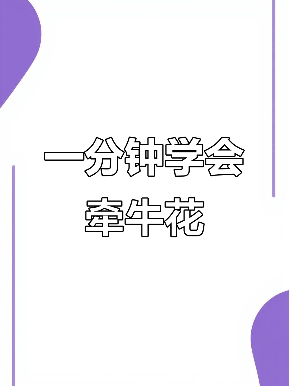 牵牛花国画技巧：从调色到画法全解析