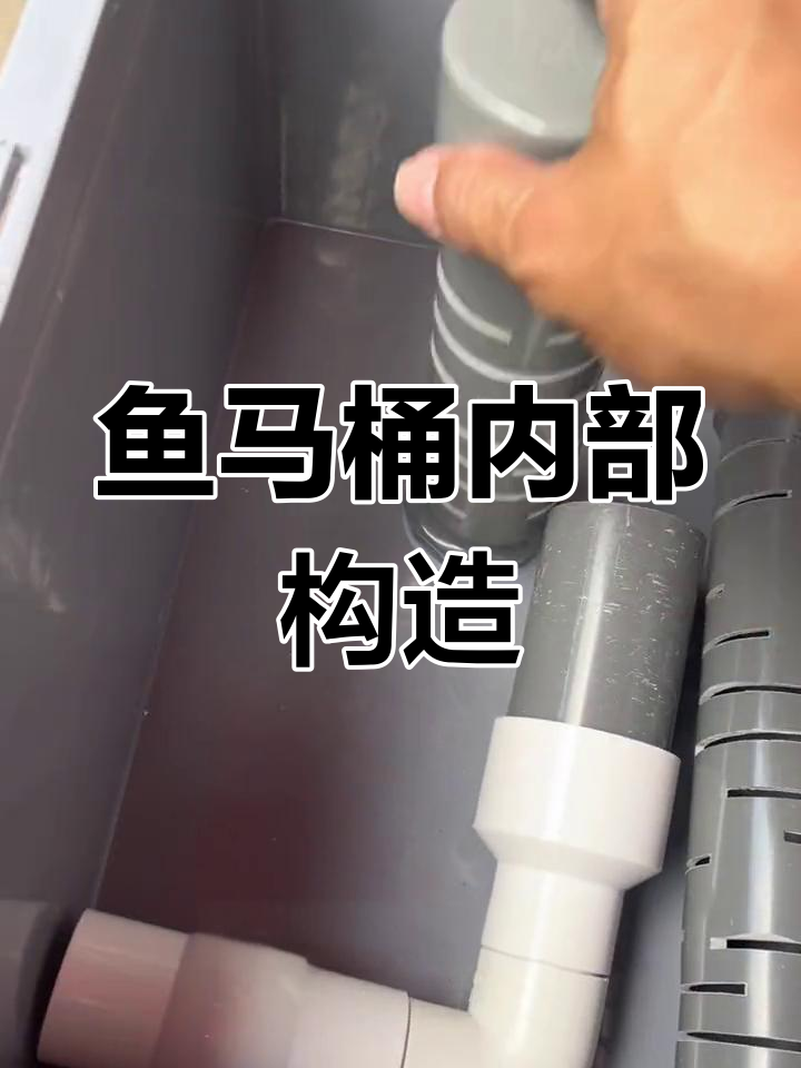 鱼马桶结构解析与使用技巧