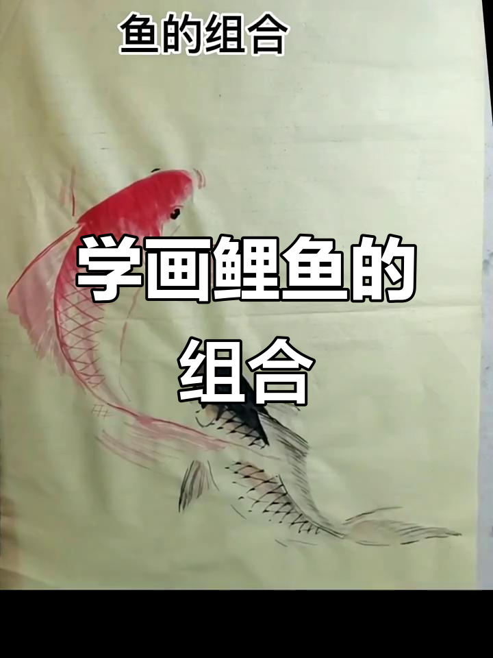 画鲤鱼技巧：从线条到色彩的完美演绎