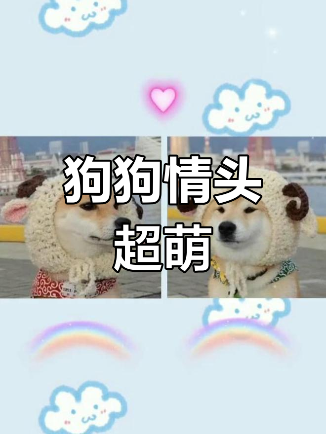 超可爱狗子情头,甜到不行!小柴犬头像来啦