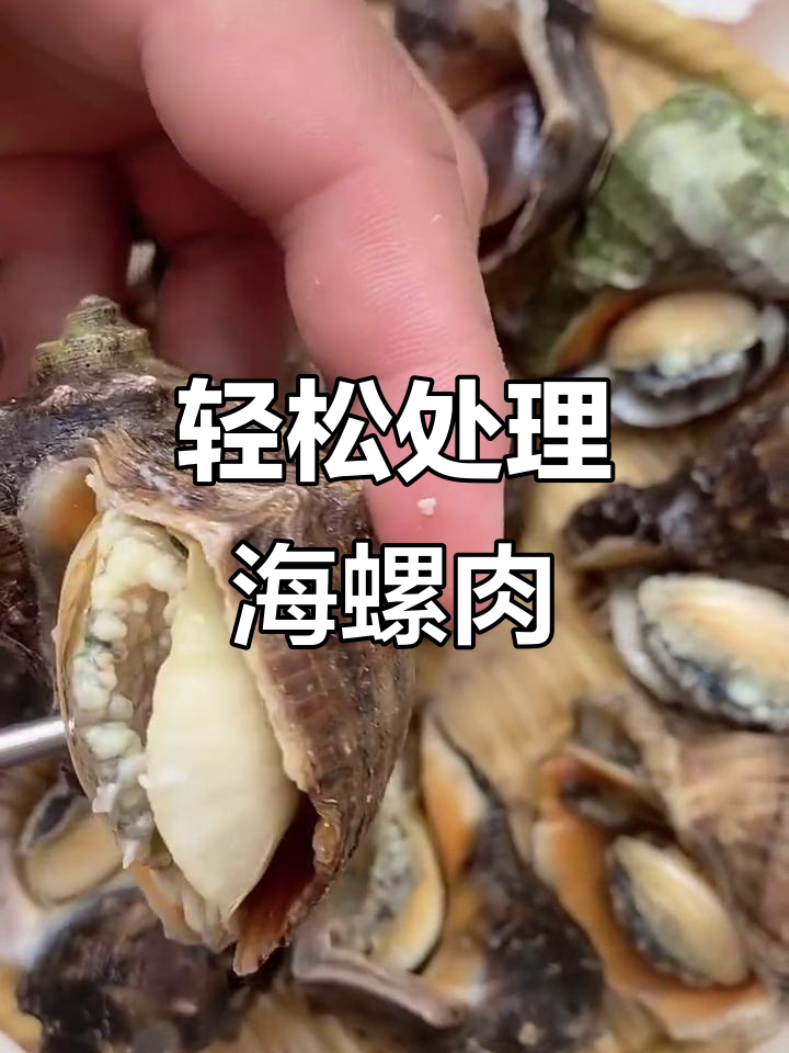 海螺肉怎么吃？教你清理技巧，享受美味不费力