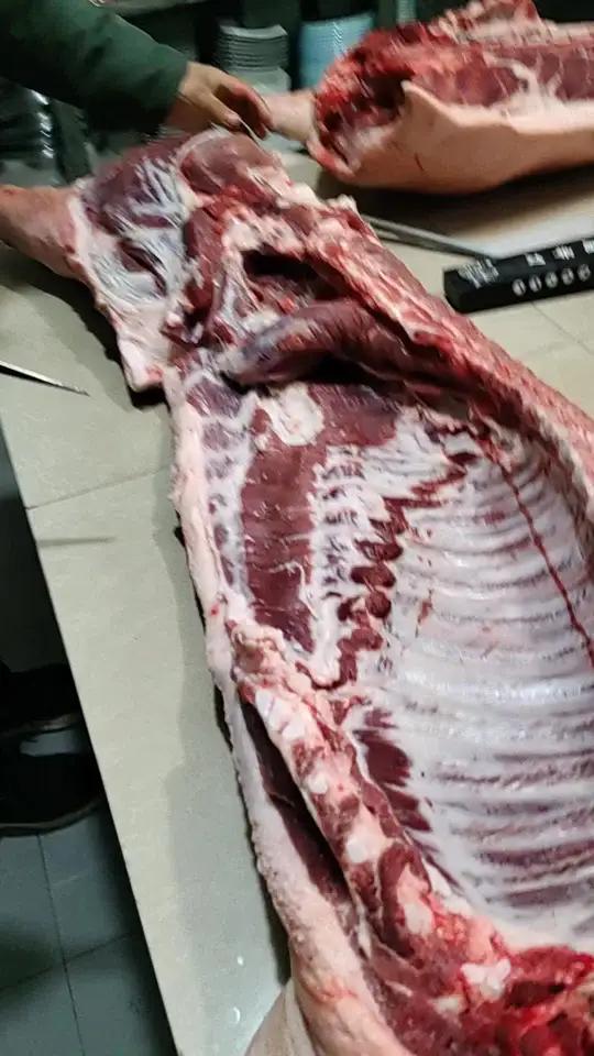 新鲜大肉 膘是不薄不厚