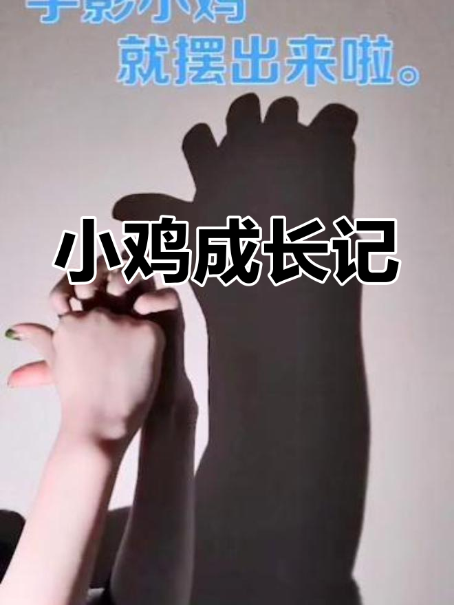 小鸡雏形初现,红冠渐显,未来必成雄壮大公鸡!