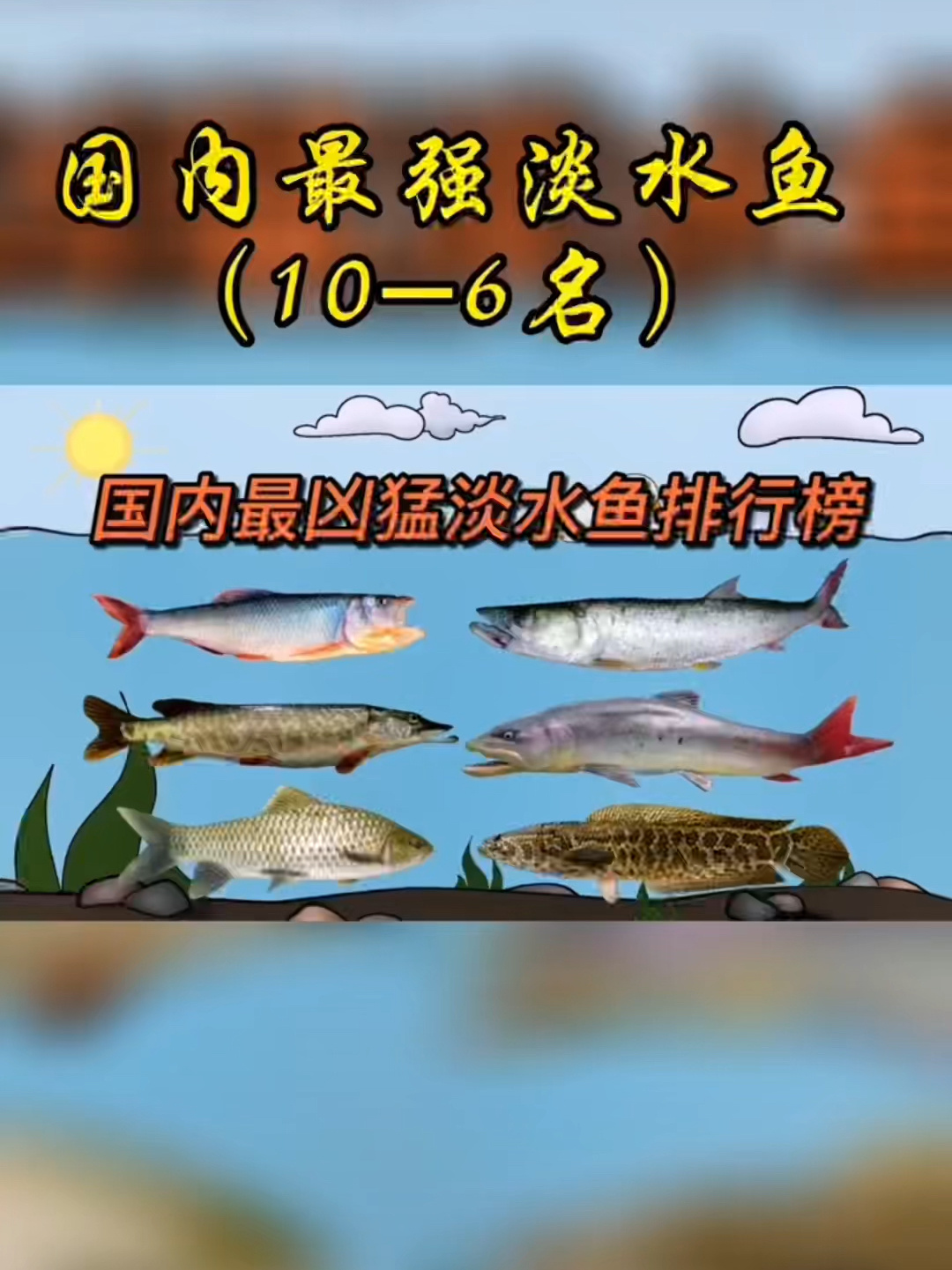 国内最凶猛的淡水鱼,你知道是哪种吗?