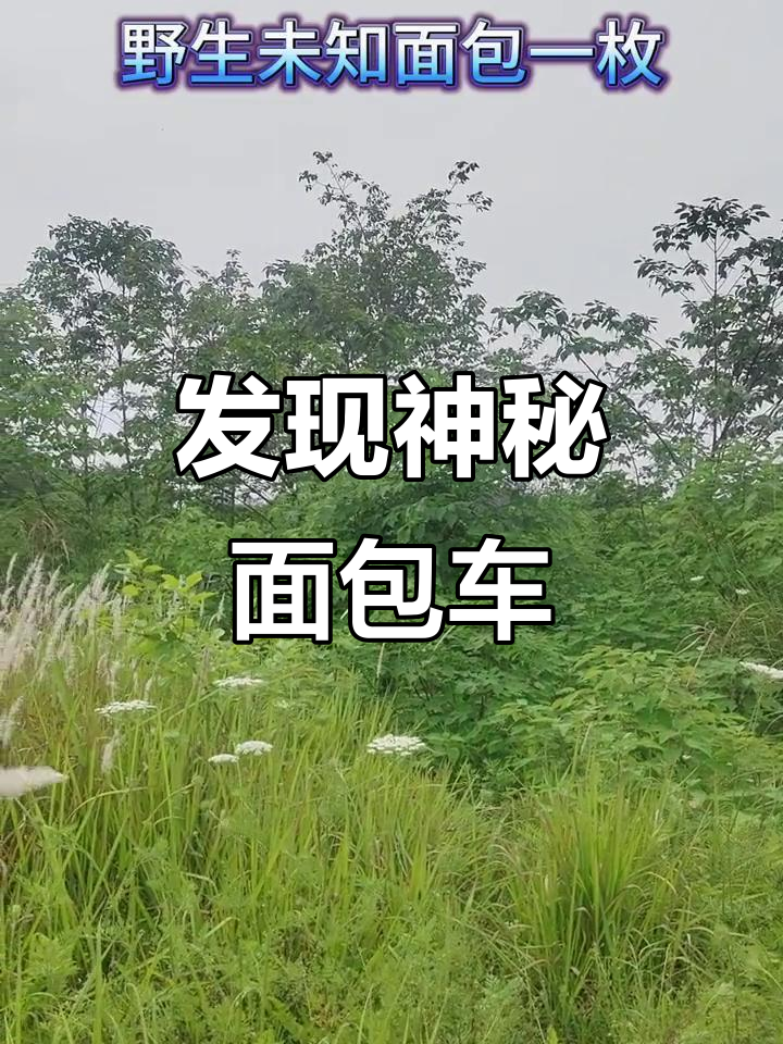 重庆野生面包车,车标多到让人眼花缭乱
