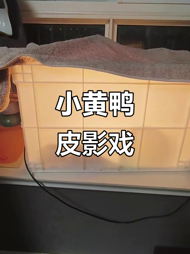 小黄鸭皮影戏：搞笑又励志，黑眼圈和屁股成了亮点