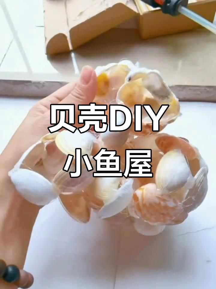 用贝壳打造小鱼屋,30分钟变浪漫艺术摆设