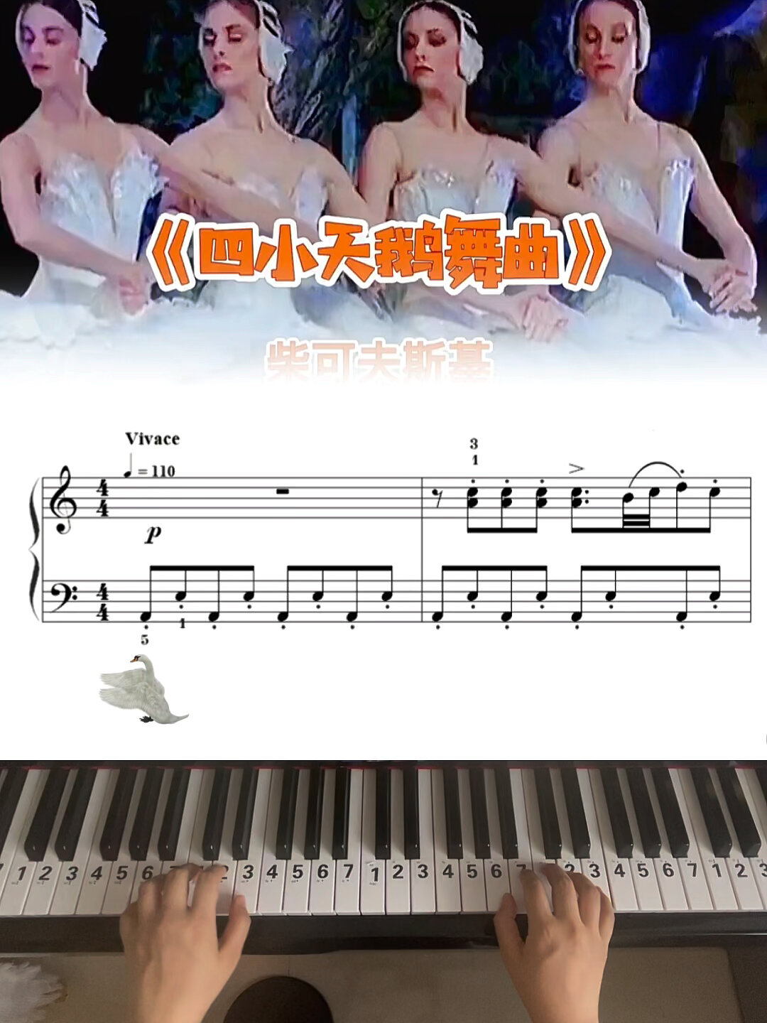 《四小天鹅舞曲》～柴可夫斯基 弹奏示范