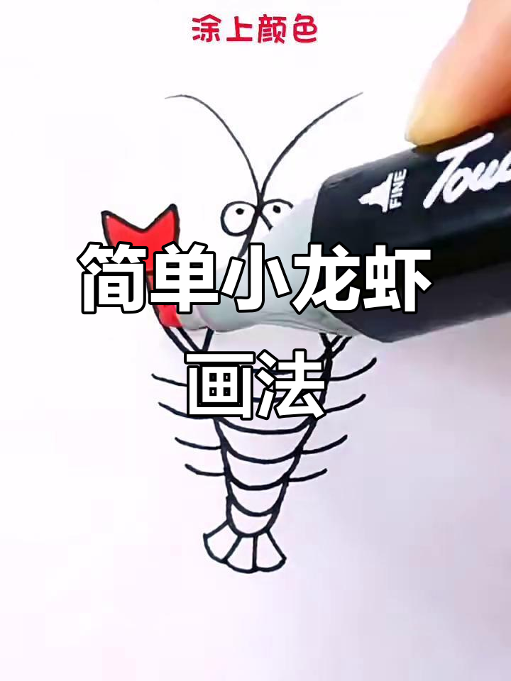 小龙虾简笔画，轻松学会画可爱小虾