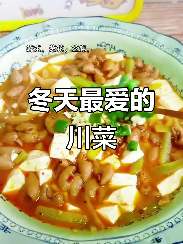 冬季川菜必吃!麻辣鲜香豆花肥肠,家常味十足