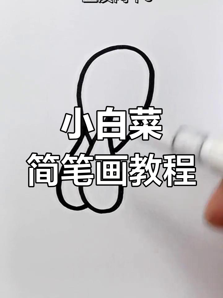 简单几步画出小白菜