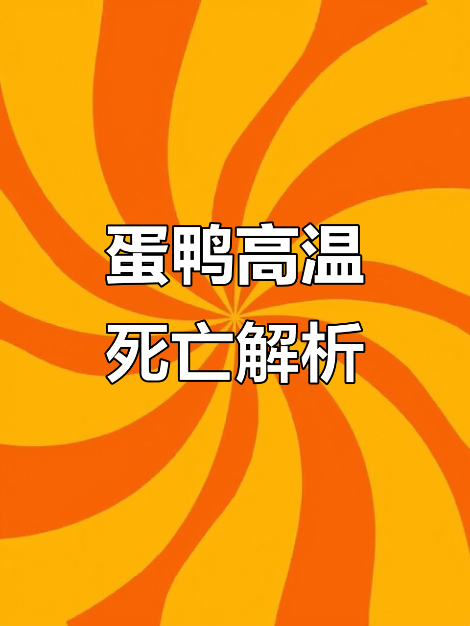 高温天气下蛋鸭伤亡分析,解剖揭示原因