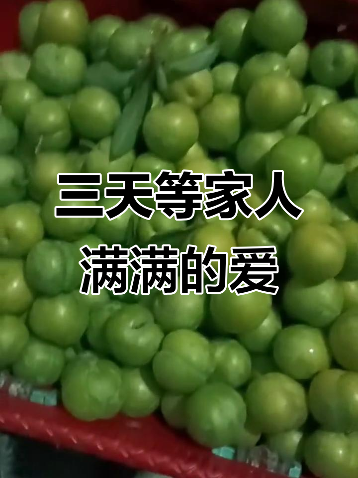 跨越千里的爱，三天等待终于收到家人的温暖拥抱