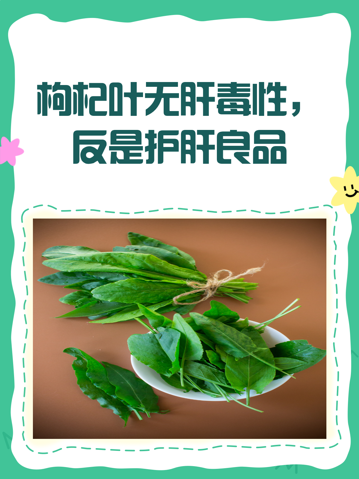 枸杞叶有很强的肝毒性?真相在这里!