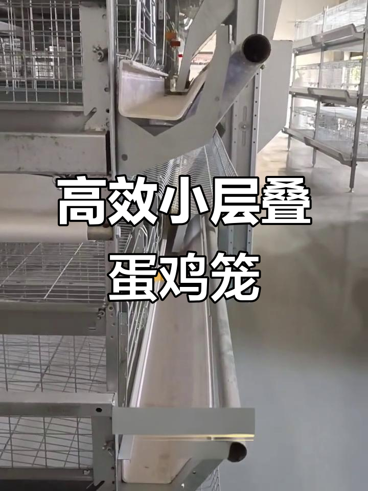 小层叠笼：养鸡场必备设备，五只鸡一格更高效