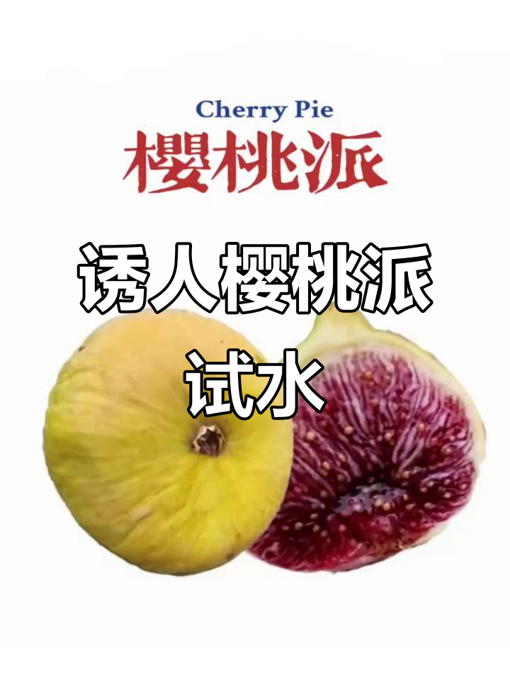 黄色果皮包裹红色果肉,樱桃派表现让人期待