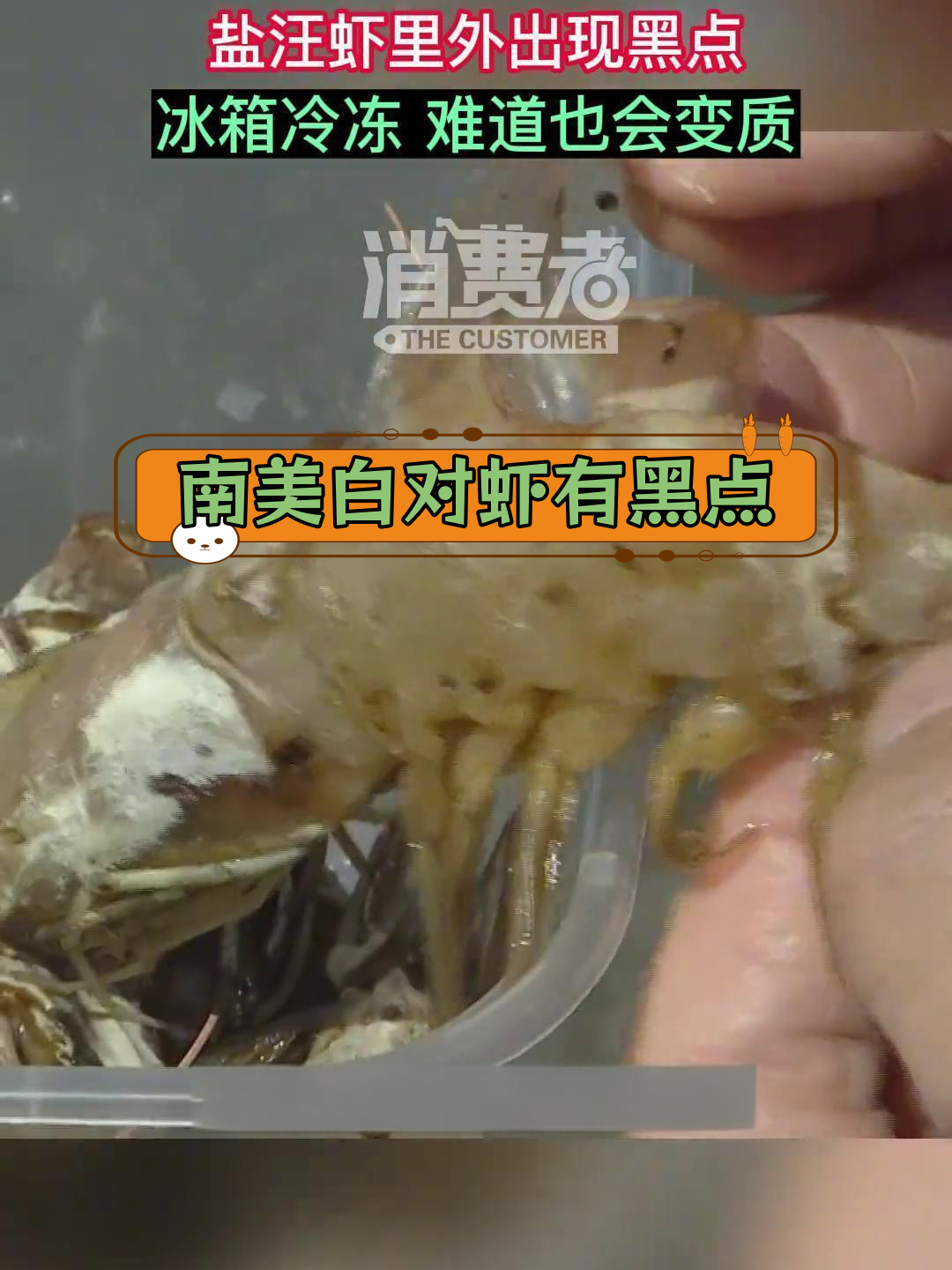 冷冻南美白对虾出现黑点,问题出在储存上