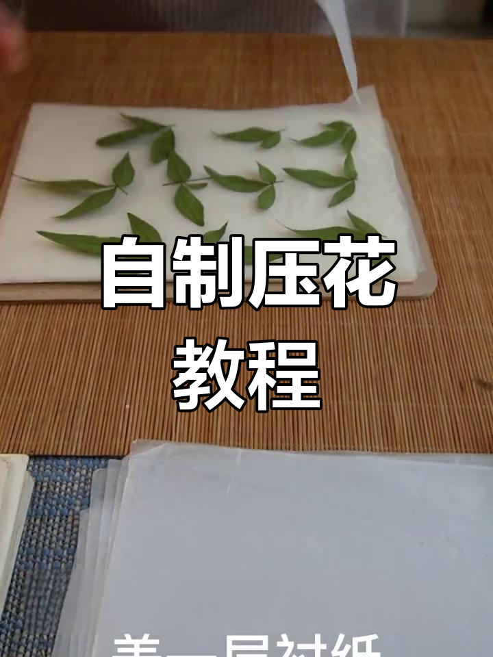 轻松在家做压花,留住花的美丽