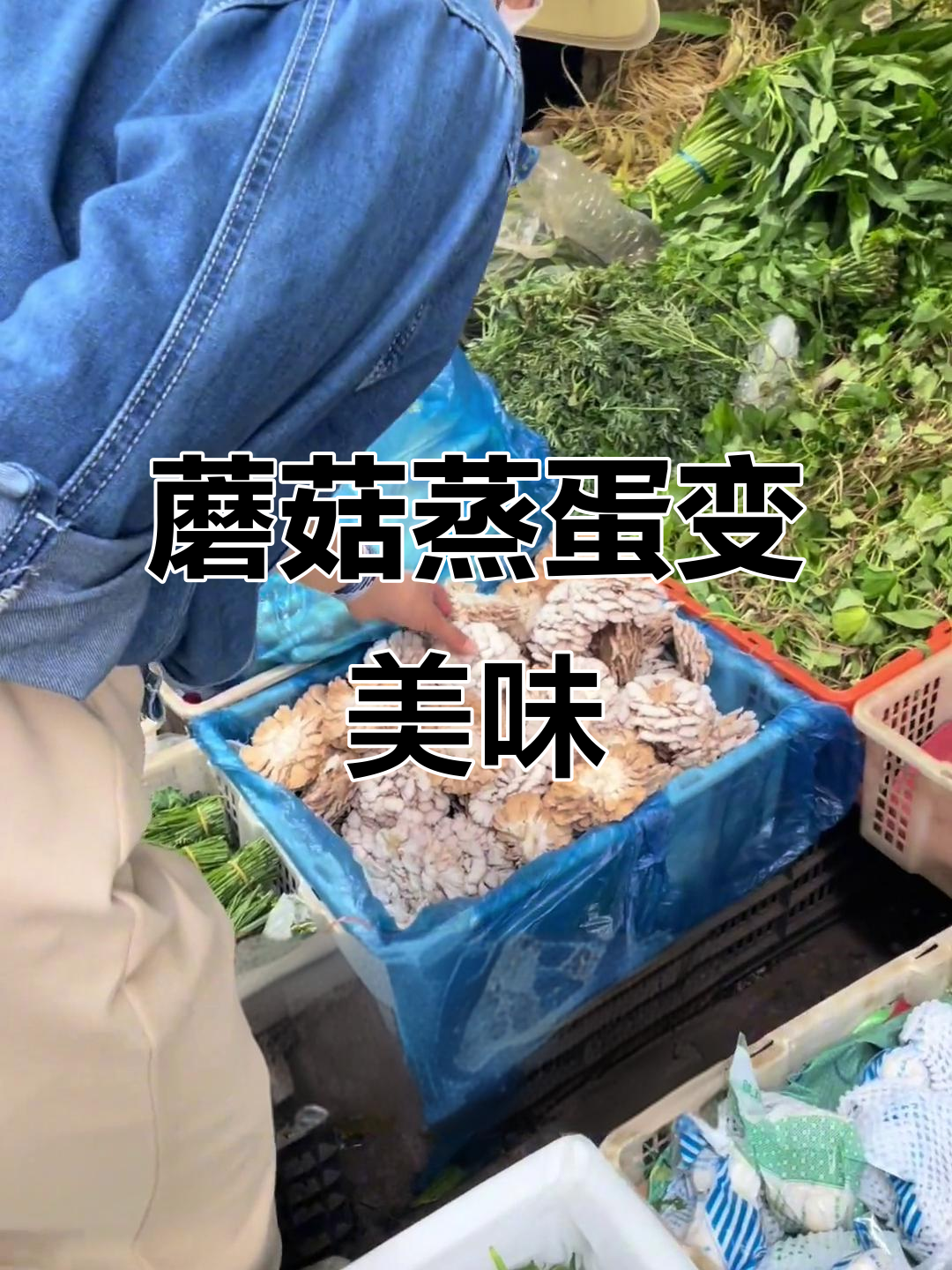 蒸鸡蛋也能吃出肉感，秘诀竟是这种菌子！