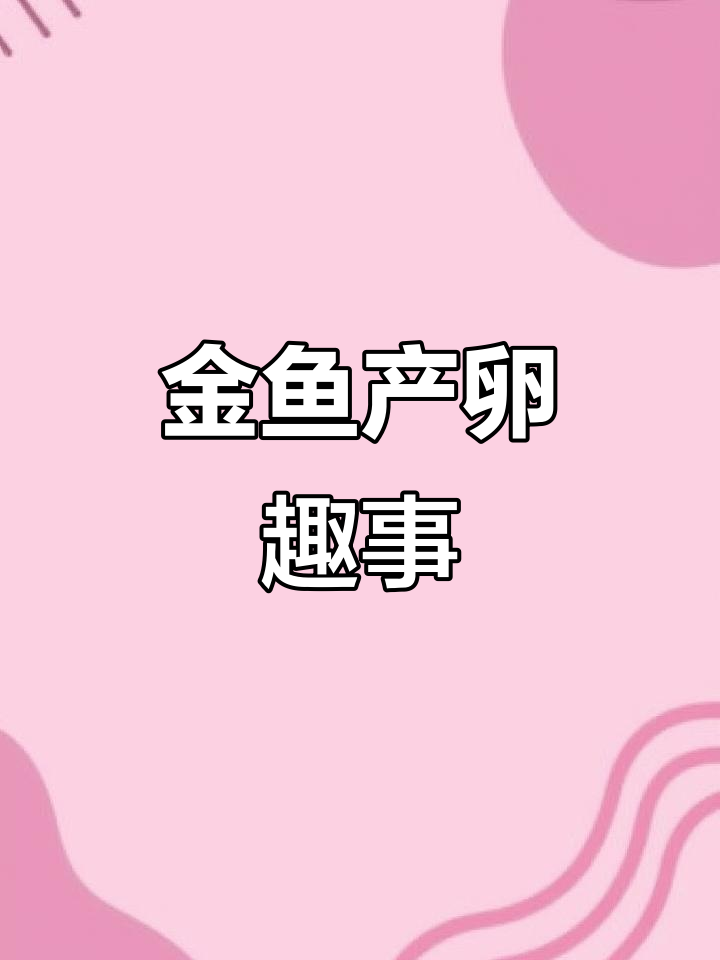 金鱼产卵,公鱼忙碌受精,小鱼忙着吃食,场面有趣又温馨