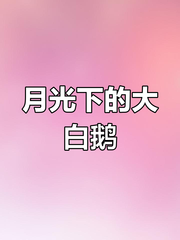 今晚月光下的浪漫时光,鹅与未婚妻的甜蜜重温