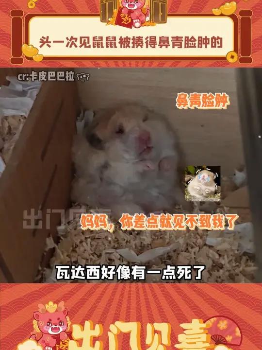仓鼠:妈妈桑,瓦达西好像有一点死了呢(cr:)